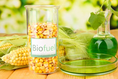 New Costessey biofuel availability